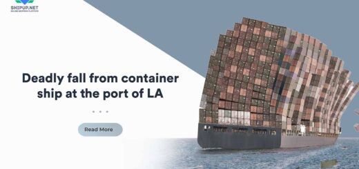 Deadly fall from container ship at the port of LA