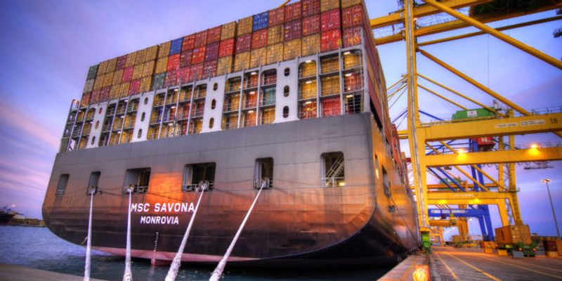 MSC Savona container ship